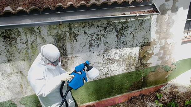 Top rated local Mold Remediation specialists in Reedsville, PA